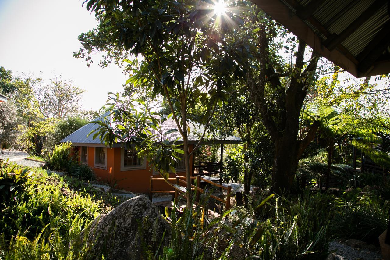 Lidwala Lodge เอซูลวินิ ภายนอก รูปภาพ